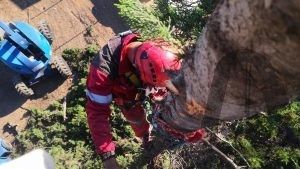 Trabajos verticales poda