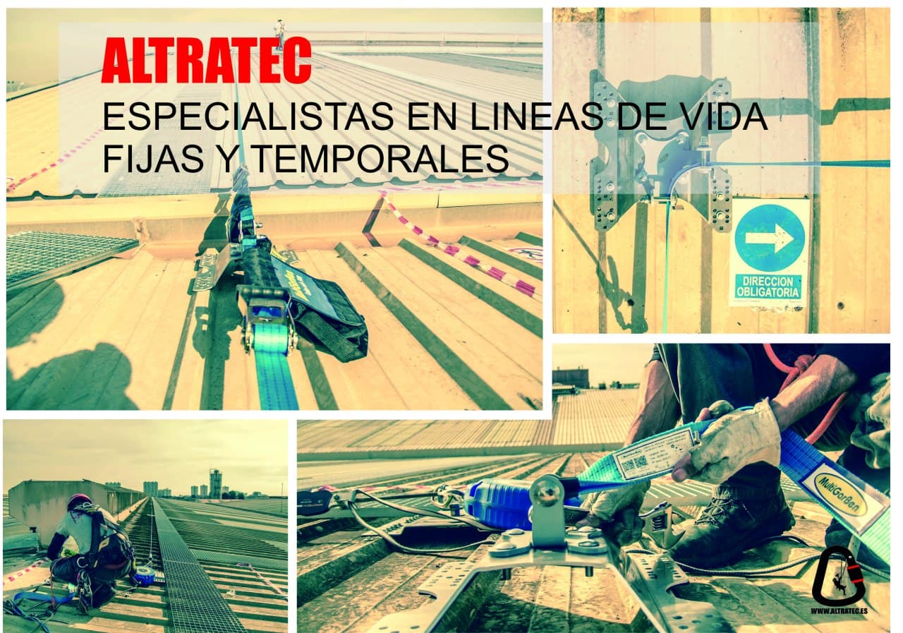 Lineas de vida
