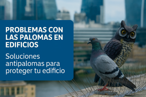 Soluciones antipalomas
